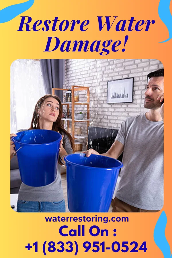 water restoration Sentinel Disaster Recovery & Associates Cold Spring