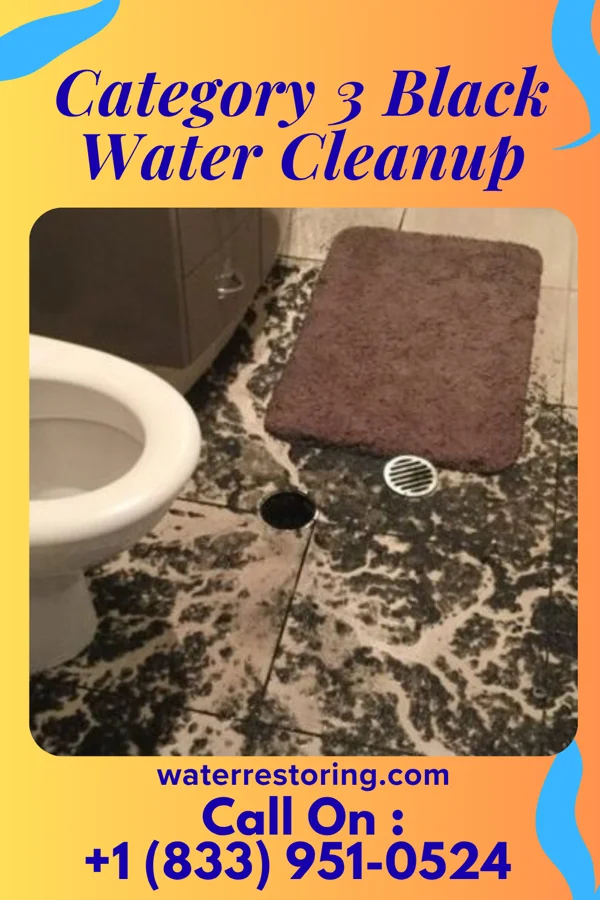 Category 3 Black Water Cleanup in Cold Spring, NY