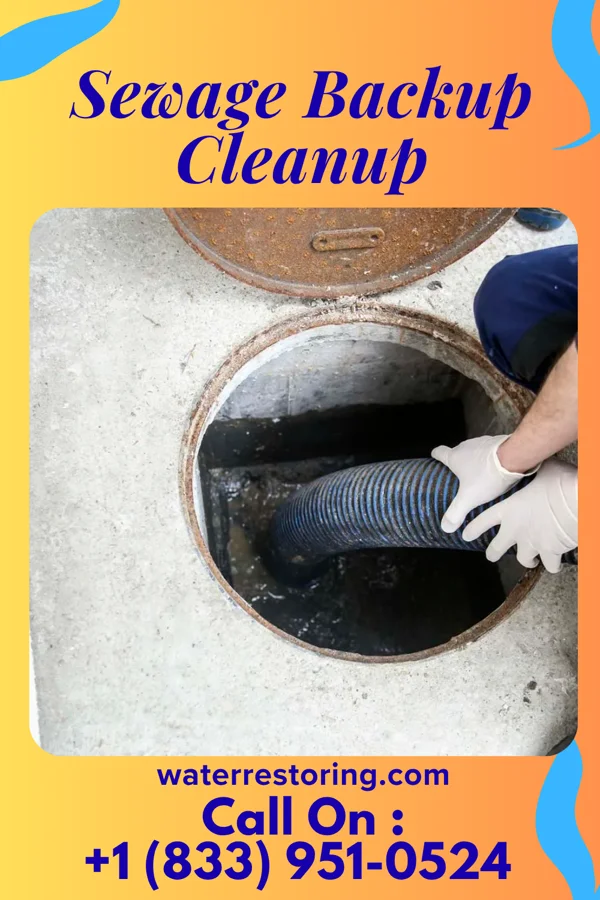 Sewage Backup Cleanup in Cold Spring, NY